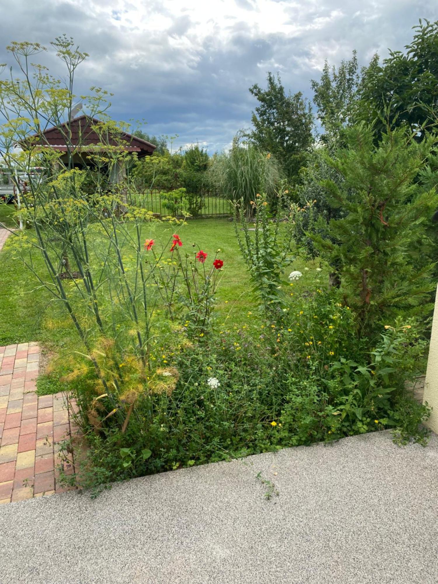 Ferienwohnung An Der Unditz 2 Neuried  Exteriör bild