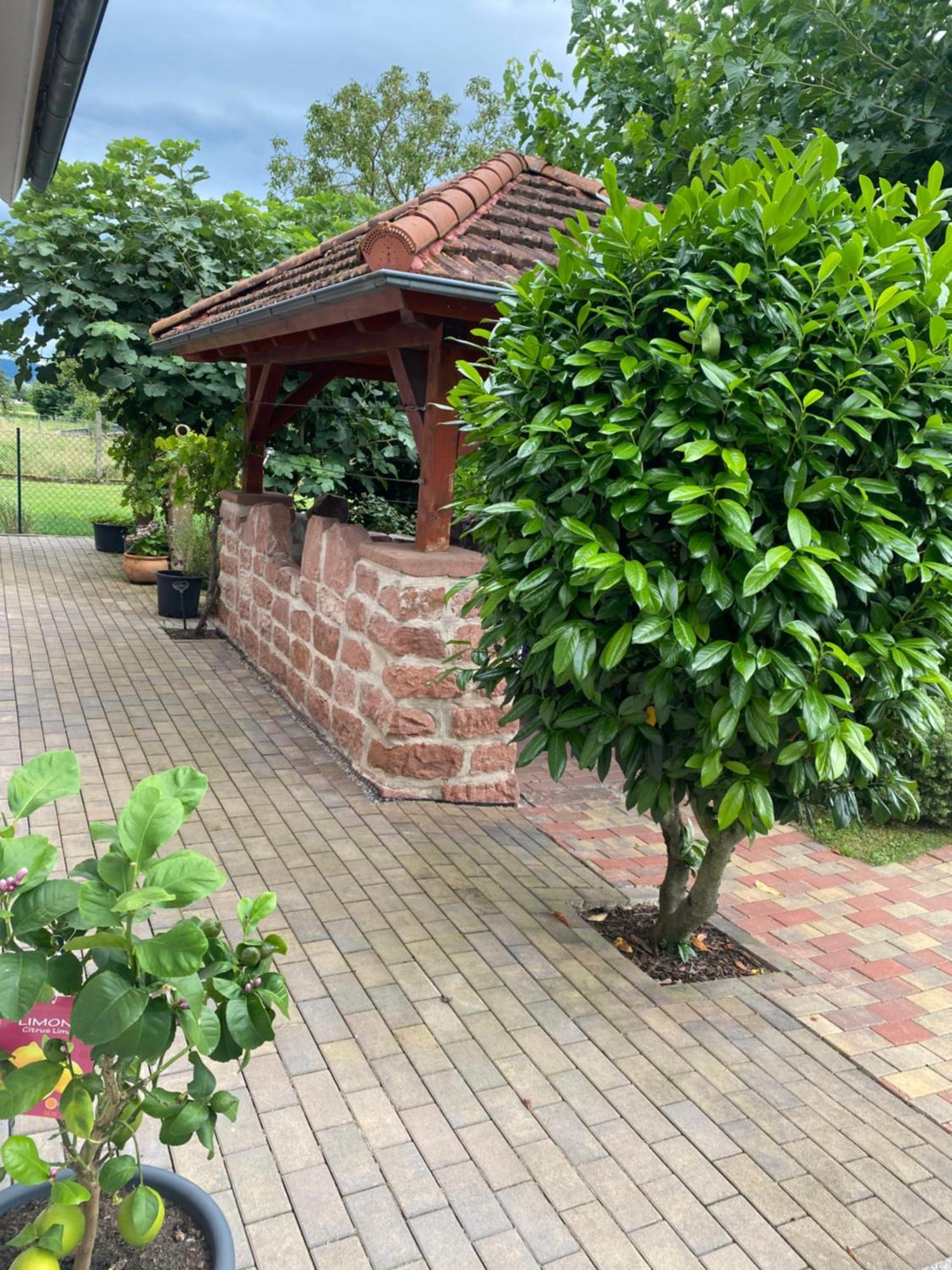 Ferienwohnung An Der Unditz 2 Neuried  Exteriör bild